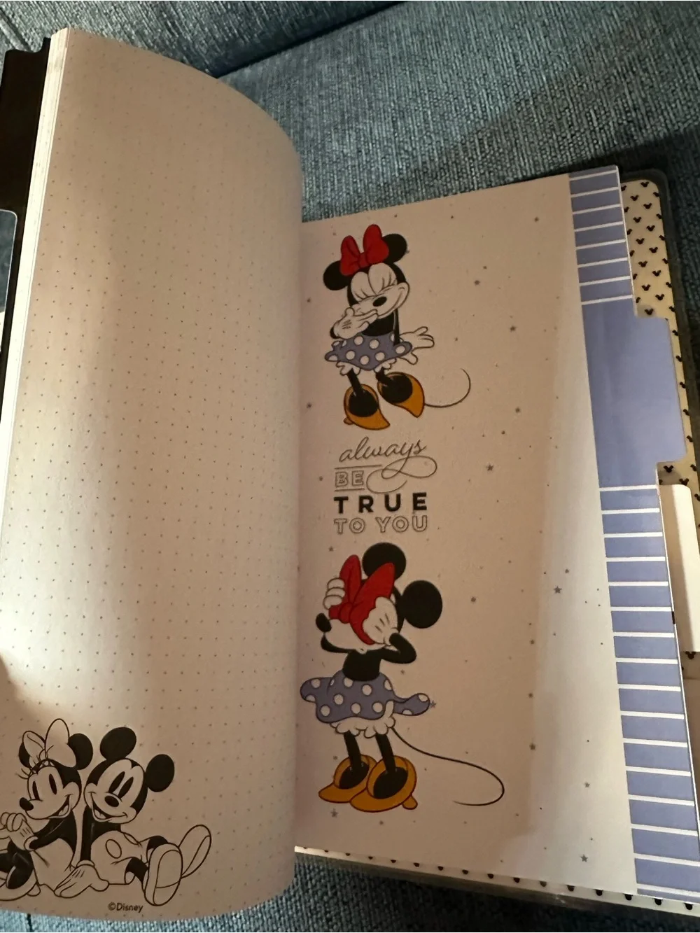 Happy Planner Classic Size Disney Minnie & Mickey Guided Journal